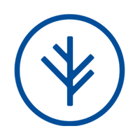 Branch